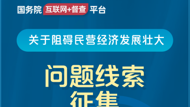 日浪逼视频网国务院“互联网+督查”平台公开征集阻碍民营经济发展壮大问题线索